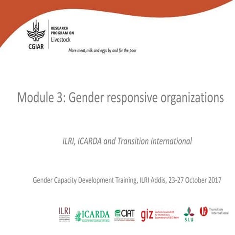 Module 3: Gender responsive organizations