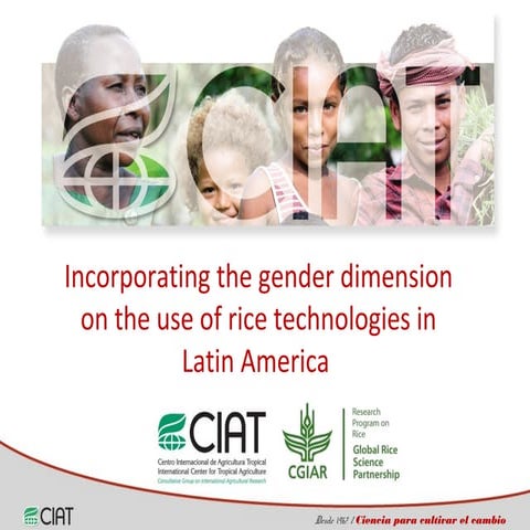 Incorporating the gender dimension on the use of rice technologies in Latin A...