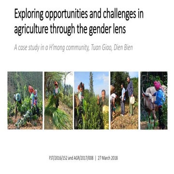 Exploring opportunities and challenges in agriculture through the gender lens