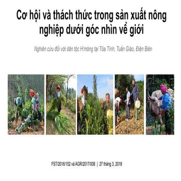 Ngọc Trinh trong một buổi họp báo với vai trò nhà sản xuất