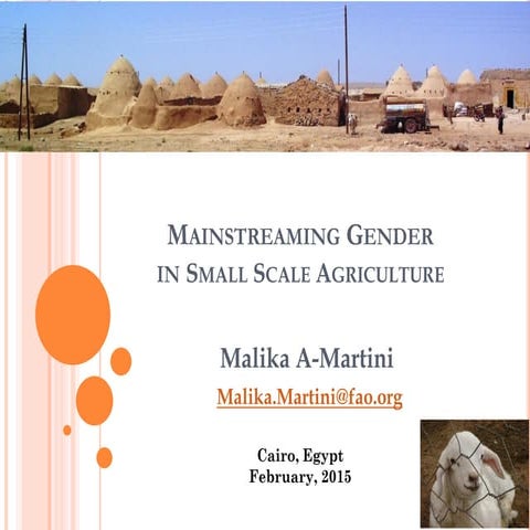 Mainstreaming Gender In Small Scale Agriculture