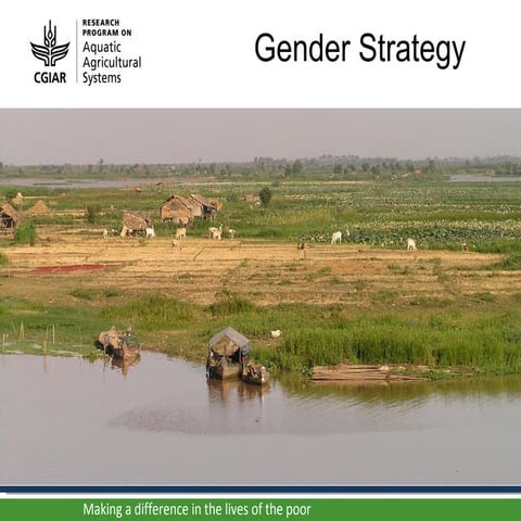 AAS Gender Strategy