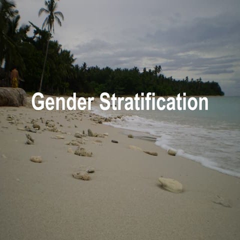 Gender Stratification