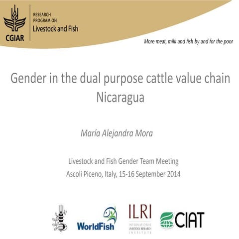 Gender in the dual purpose cattle value chain Nicaragua