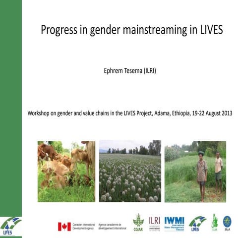 Progress in gender mainstreaming in LIVES
