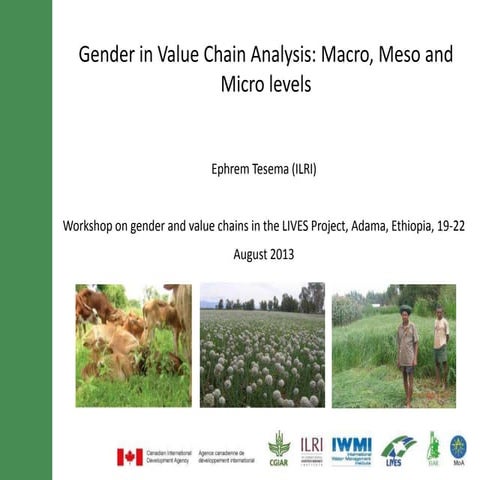 Gender in value chain analysis: Macro, meso and micro levels