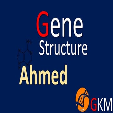 Structure of Gene
