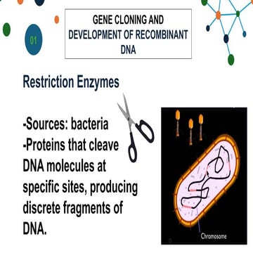 gene cloning powerpoint for general biology 2 | PPTX