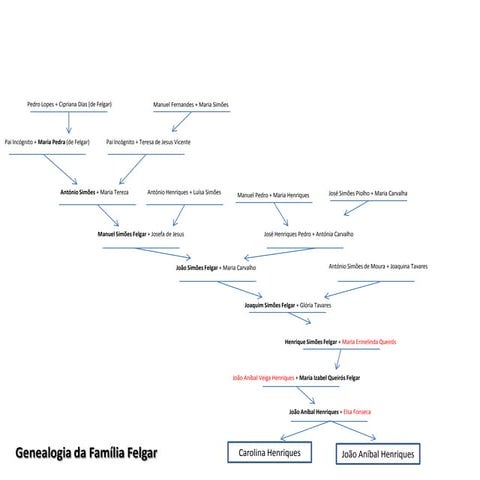 Genealogia da Família Felgar