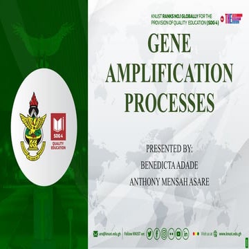 GENE_AMPLIFICATION_PROCESSES-ADV_BIOTECH_ FINAL SLIDES 2682025[1].pptx