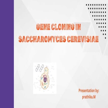 Gene cloning S. cerevisiae 1gene cloning geneneral outline