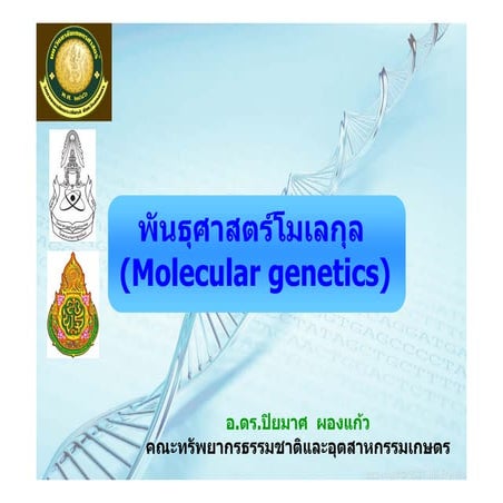 ยีนและโครโมโซม