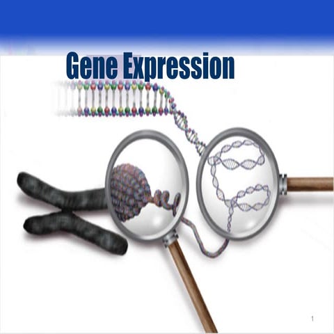 Gene expression