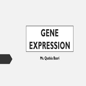 Advanced ,Detailed University level Biochemistry Of Gene Expression.
