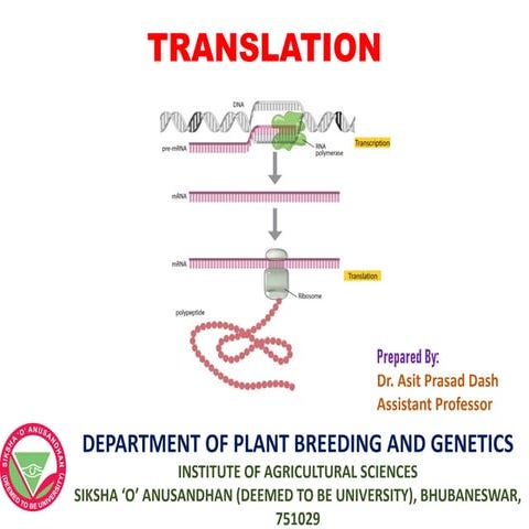 Gene Expression: Translation
