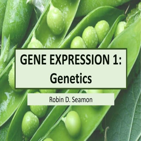 Gene Expression 1 Genetics