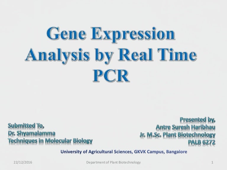 Gene Expression Analysis by Real Time PCR