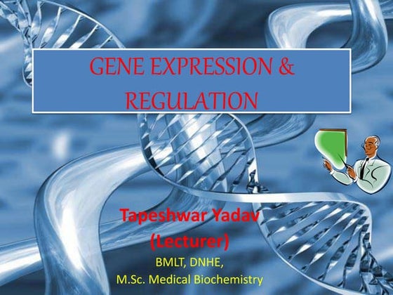 GENE EXPRESSION AND REGULATION.pptx
