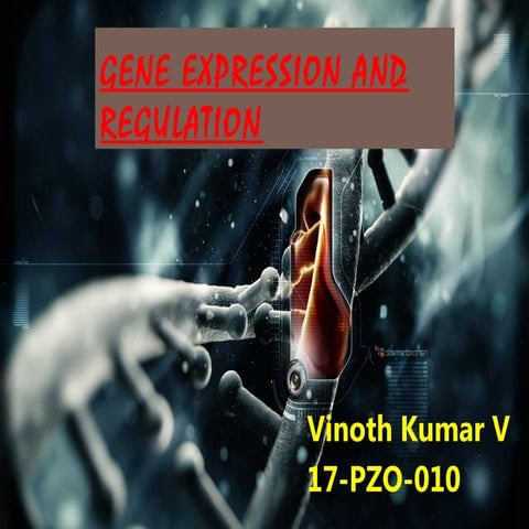 Regulation Of Gene Expression | PPTX