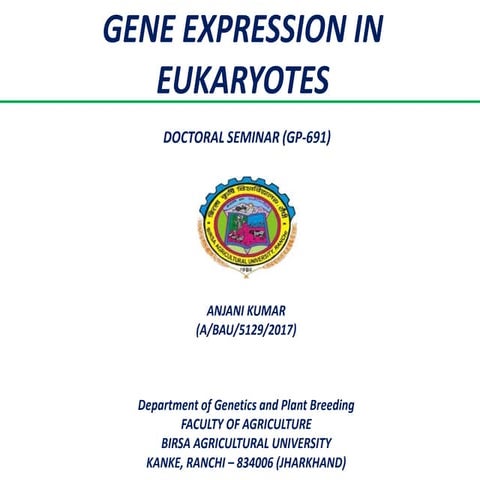 Gene expression in eukaryotes