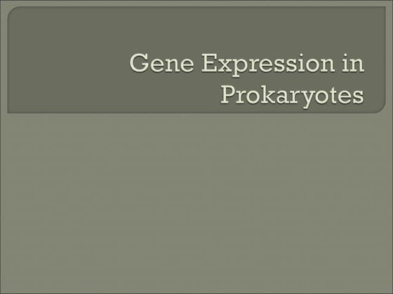 Gene expression in prokaryotes | PPTX | Chemistry | Science