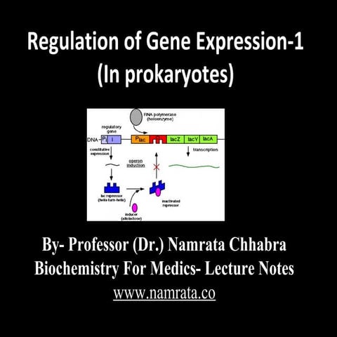 Gene expression in prokaryotes
