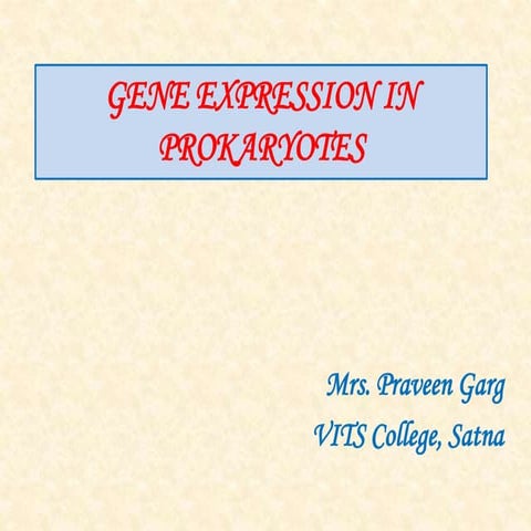 Gene expression in prokaryotes