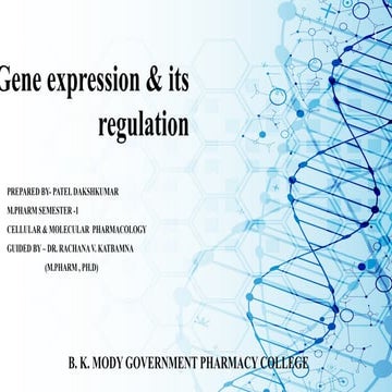 Gene expression | PPTX
