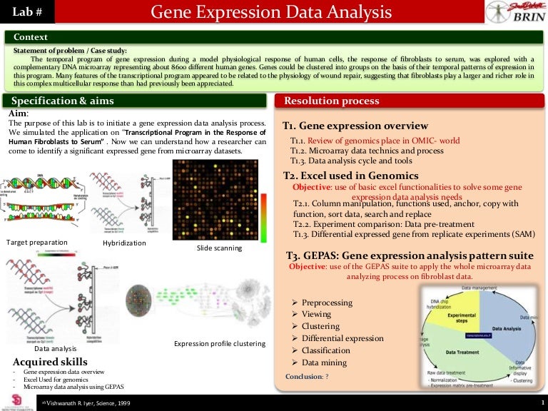 Gene Expression Lab Summary