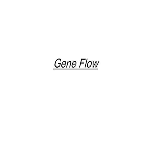 Gene flow