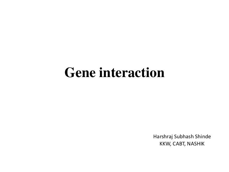 Gene Interaction