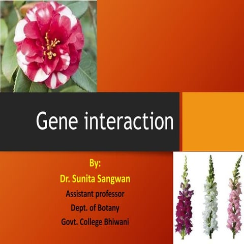 Gene interaction