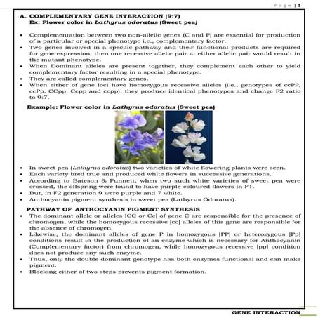 2. Gene interaction - complementary