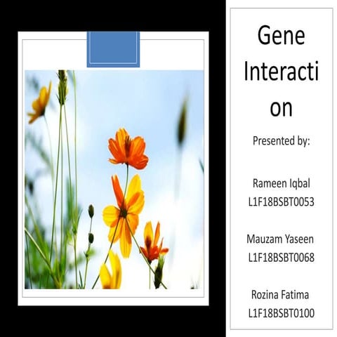 Gene interaction ppt