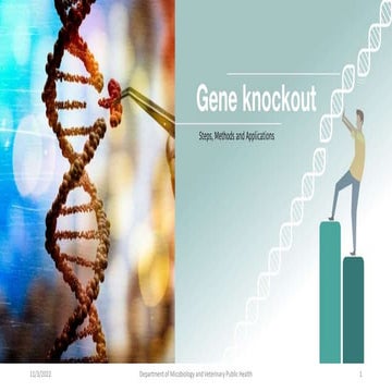 GENE KNOCKOUT.pptx