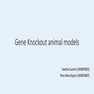Gene knockout animal models