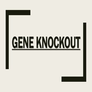 GENE KNOCKOUT