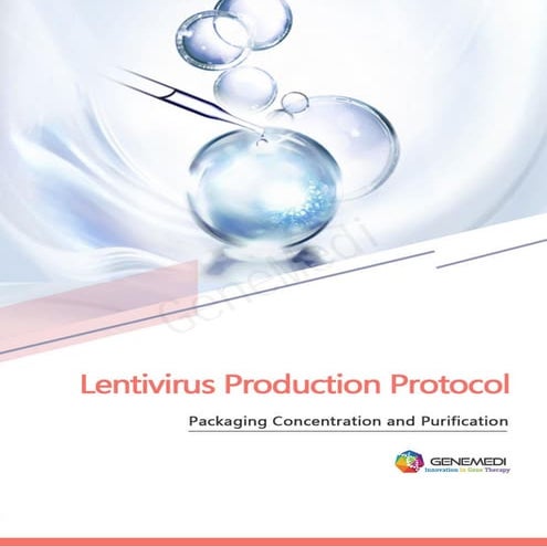 Genemedi-lentivirus production protocol-packaging concentration and purification
