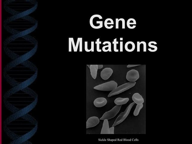 Gene mutations ppt