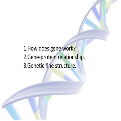 Gene protein relattionship. genetic fine structure