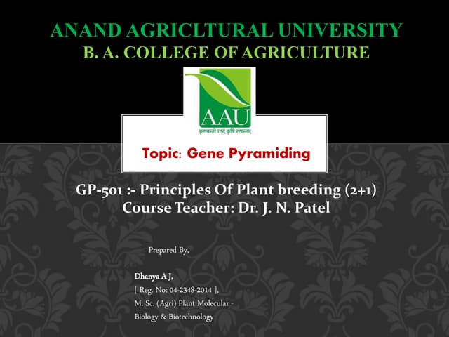Gene pyramiding