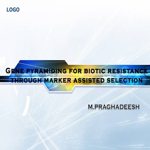 Genepyramiding for biotic resistance