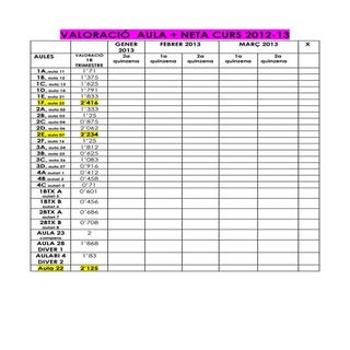 VALORACIO AULA +NETA
