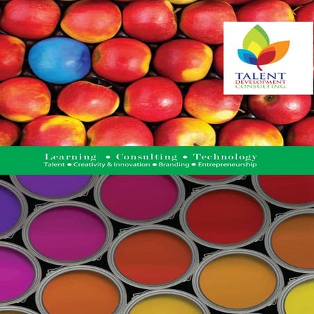 Talent Development Consulting 