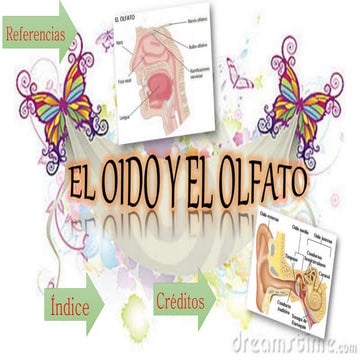 Sentido Del oido y Olfato