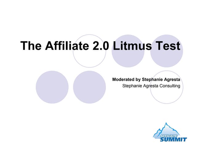 The Affiliate 2 0 Litmus Test