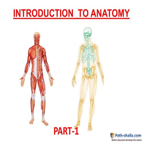General anatomy  1 pathshalla