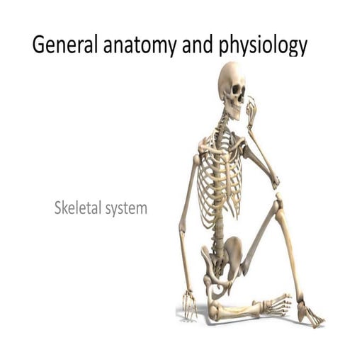 General anatomy and physiology bones.pptx