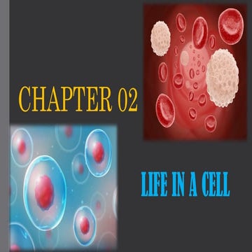 GENERAL BIOLOGY 1 Powerpoint Presentation