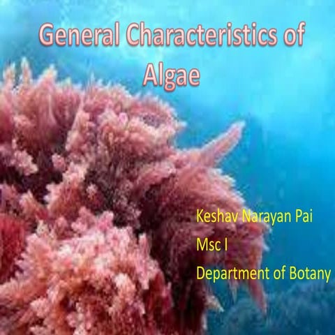 General characteristics of algae